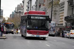 Nuevas líneas de ómnibus eléctricos