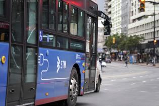 Nuevas líneas de ómnibus eléctricos