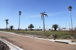 Proyecto de Mejoramiento Integral en Parque Cauceglia