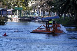 Limpieza del lago del Parque Rodó 