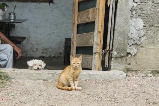 Relocalización proyecto Chacarita Relocalización proyecto Chacarita