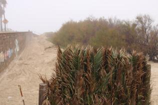 Trabajos de descalce de muro en playa Malvín