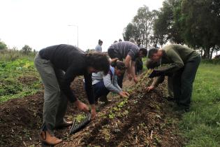 Curso para promotores/as de huertas agroecológicas Curso para promotores/as de huertas agroecológicas