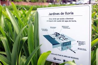 Jardín de lluvia 