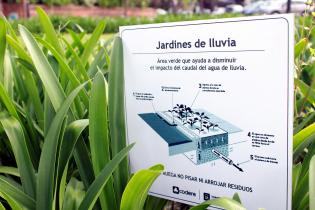 Jardín de lluvia Jardín de lluvia