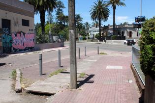 Proyecto de Jardín de Lluvia