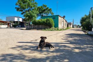 Obras de infraestructura en barrios Juventud 14 y Las Cañas en el marco del Plan ABC Territorio