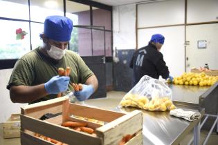 Manipulación de alimentos 