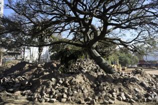 Registro de obras en Parque de la Amistad