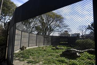 Registro de obras en Parque de la Amistad