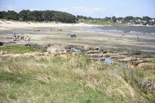 Playa de Punta Yeguas