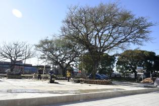 Obras en Plaza Larocca Obras en Plaza Larocca