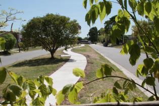 Obras en CampoAmor Obras en CampoAmor