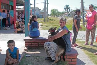 Jornada de castraciones a perros y gatos