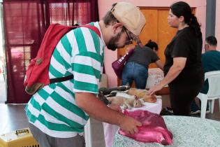 Jornada de castraciones a perros y gatos Jornada de castraciones a perros y gatos