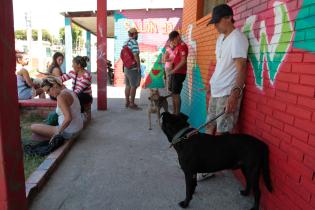 Jornada de castraciones a perros y gatos