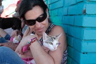 Jornada de castraciones a perros y gatos Jornada de castraciones a perros y gatos