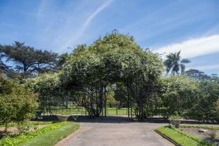 Rosaleda Juana de Ibarbourou en el Prado