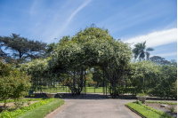 Rosaleda Juana de Ibarbourou en el Prado