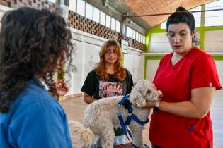 Jornada de vacunación en el marco del Día Mundial de la lucha contra la rabia