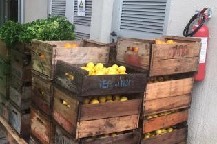 Recuperación de alimentos con destino a la Red de Ollas Populares Recuperación de alimentos con destino a la Red de Ollas Populares