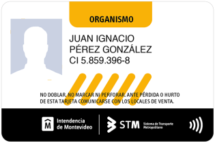 Tarjeta stm organismo Tarjeta stm organismo 300x200