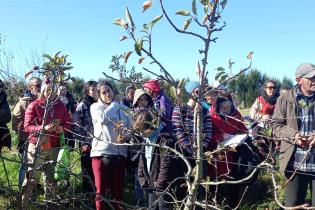 Curso de huertas agroecológicas