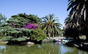 Lago del Parque Rodó