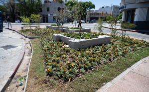 Renaturalización en Av. Dr. A. Ricaldoni y Av. Dr. Alfredo Navarro