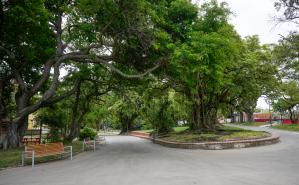 Parque Villa Dolores, 20 de diciembre de 2023