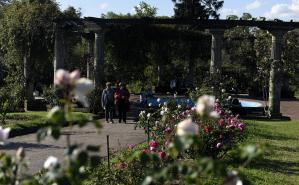 Rosedal del Prado