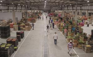 Unidad Agroalimentaria Metropolitana 