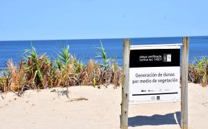 Conservación de Dunas