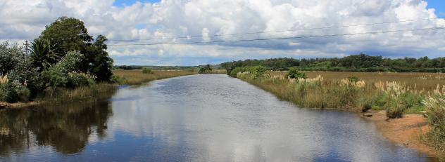 Arroyo