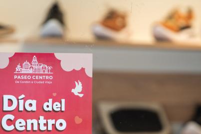 Día del Centro