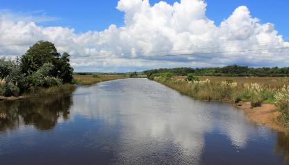 Arroyo