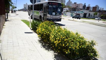 Jardines de lluvia ubicados en la Av. Dr. Luis Alberto de Herrera entre José Mazzini y República de El Salvador