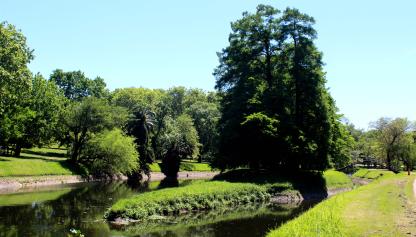 Arroyo Miguelete