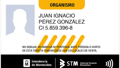 Tarjeta stm organismo 300x200