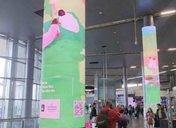 thumbnail.jpg Obras del Museo Blanes en el aeropuerto Internacional el Dorado
