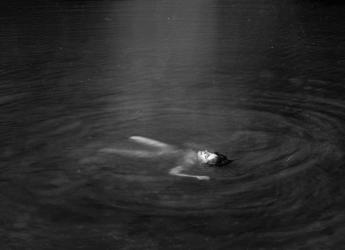Sin título. Lugar: Sin datos, 2019. Fotografía analógica