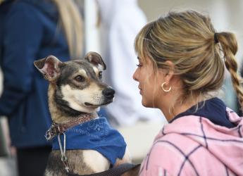 Jornada de adopción de animales de compañía en el Parque Rodó