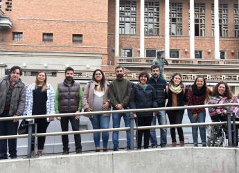 Equipo de trabajo de la Secretaría de Discapacidad