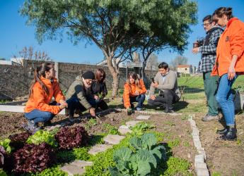 Cooperativas integrantes de la estrategia ambiental Montevideo Más Verde 