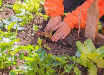 Cooperativas integrantes de la estrategia ambiental Montevideo Más Verde 