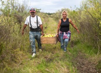  Donación de manzanas en ayuda al Plan ABC