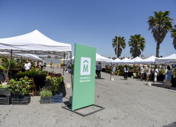 Montevideo más Verde: Feria Sustentable