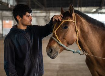 Entrega de motocarros y adopción de caballos