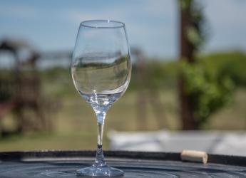 Recorrida por bodega Dardanelli
