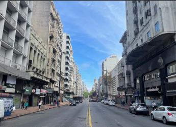 Proyecto arbolado en Av.18 de Julio